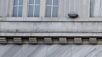 Zara tiene algunas empresas hermanas que son casi igual de famosas y exitosas.