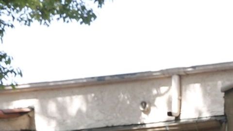 05/08/18/LOS ANGELES/Los Angeles Police search a car parked, on the corner of W. 42nd Street and Walton Avenue, after a man barricaded himself inside an apartment.ÊÊ Los Angeles police were called to the scene aroundÊ2:30 a.m.Êafter getting reports of a shooting. The gunman was later taken into custody without incident, and no injuries were reported. (Photo by Aurelia Ventura/La Opinion)