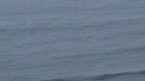 Estudiantes de Los Ángeles forman una figura en la playa, después de limpiarla.