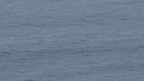 Estudiantes de Los Ángeles forman una figura en la playa, después de limpiarla.