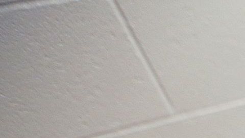 Adelanto Detention Female