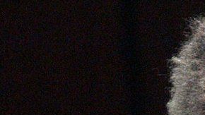 Samuel Little cumple cadena perpetua en California.