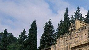 106480750_medina03