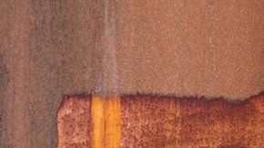 El aceite de ballena se usaba en productos alimenticios.