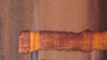 El aceite de ballena se usaba en productos alimenticios.