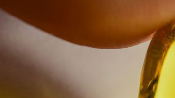 Los fósiles estaban perfectamente preservados.