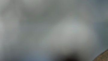 La existencia de grandes maras o pandillas ha ayudado a convertir a El Salvador en uno de los países más peligrosos del mundo.