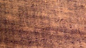 El estudio detalla qué plantas se han extinguido.