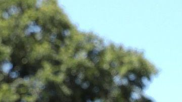 México ha negado que exista un "pacto secreto con Estados Unidos".