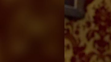 107362478_f785df39-7632-45fa-9bce-173e4d154c5a