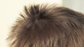 107375255_36ef6554-b109-4180-9dfe-5d7795fdc36f
