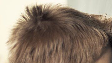 107375255_36ef6554-b109-4180-9dfe-5d7795fdc36f