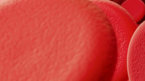 La sangre es un bien escaso y valioso.