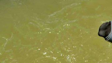 Chanchal Lahiri era conocido como "Mandrake".