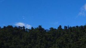 El proyecto Cascabel ocupa unas 5,000 hectáreas de territorio.
