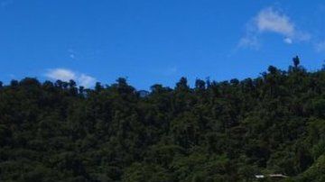 El proyecto Cascabel ocupa unas 5,000 hectáreas de territorio.