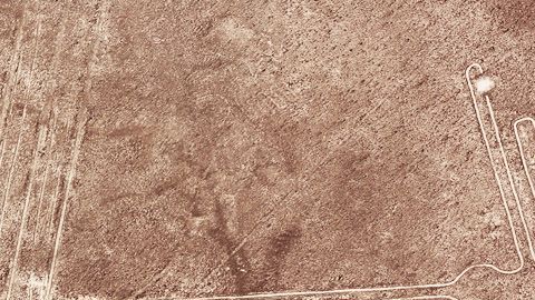 Este dibujo es de una especie de colibrí llamada ermitaño.