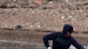 Dos orcas fueron liberadas este jueves.