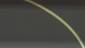 Mike Wheeler tiene años de experiencia.