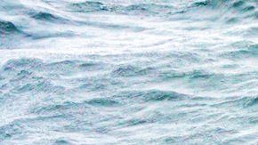 107491539_ballenapacifico11