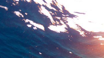 Bajo el océano se puede encontrar agua dulce.