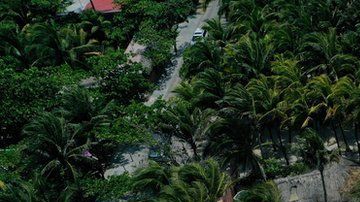 El sargazo se acumula más en algunas playas del Caribe mexicano.