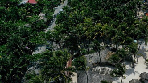El sargazo se acumula más en algunas playas del Caribe mexicano.