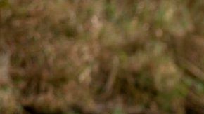 Familias de migrantes con niños cruzan cada día el Río Bravo.