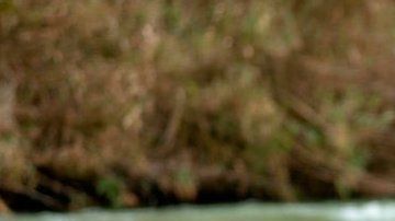 Familias de migrantes con niños cruzan cada día el Río Bravo.