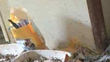 Encuentran 200 gatos muertos, basura y 100 gatos vivos en una casa de Iowa.