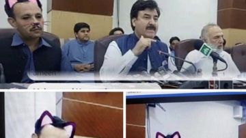 Un gobierno provincial de Pakistán da una conferencia en vivo con el filtro de gato.