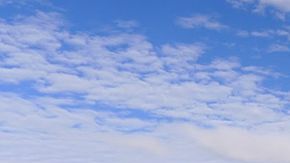 Groenlandia perdió el 40% de su hielo en un día.