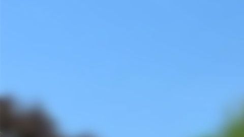 El lujoso vehículo se encuentra en renta