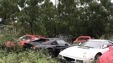 El coleccionista amaba los autos europeos