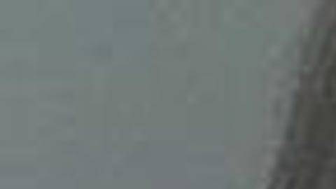 636590851497859397-Owen-Suzanne