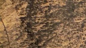 En el juicio a "El Chapo" se habló de su parecido con el "Mayo" Zambada.