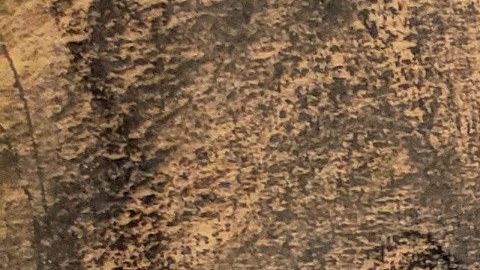 En el juicio a "El Chapo" se habló de su parecido con el "Mayo" Zambada.