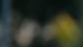 Lionel Messi disputará la Copa América con la selección de Argentina