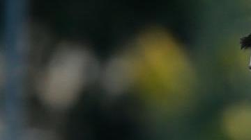 Lionel Messi disputará la Copa América con la selección de Argentina