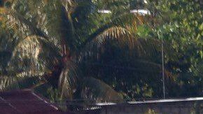 El objetivo es frenar el flujo de migrantes. EFE/ Carlos López