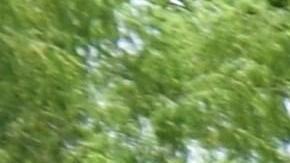 Miigrantes centroamericanos en la frontera con Chiapas (México)