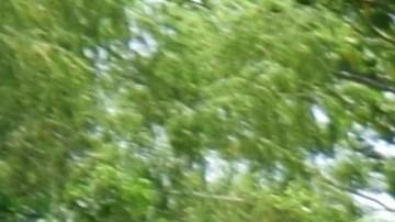 Miigrantes centroamericanos en la frontera con Chiapas (México)