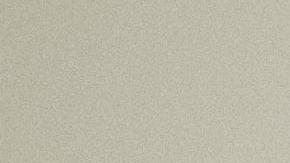 El paraguayo Enrique Galván (c), que sufre la llamada enfermedad del "hombre elefante", habla junto al cirujano Cristóbal Barrios (i) durante una rueda de prensa este lunes.