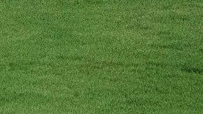 El jugador de la selección de fútbol de Argentina Lionel Messi.