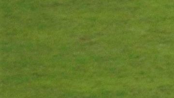 Jugadores de Perú celebran al final del partido contra Bolivia en la Copa América.