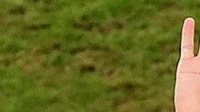 Lionel Messi cumple 32 años en plena Copa América.