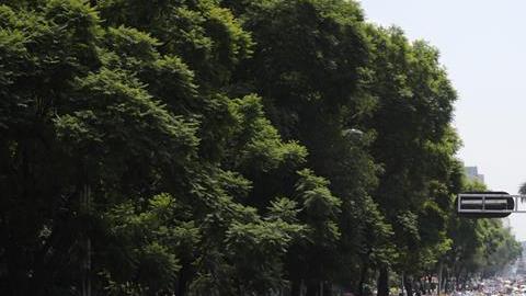 Ciudadanos marcharon contra López Obrador.