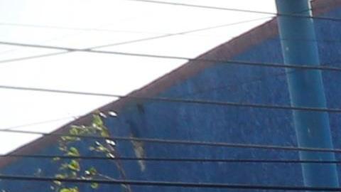 La granizada hizo ver todo como una nevada.