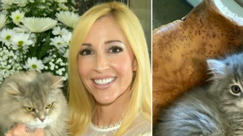 Ashley Bullerdick con el gato original y a la derecha el gato clonado.