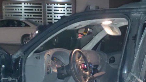 Abaten a 4 del Cártel del Golfo